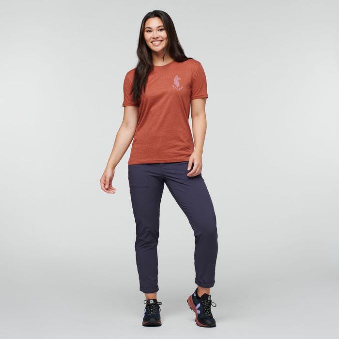 Spice Laama Lover Orgaaninen T-paita Naisten Cotopaxi Alkuperä