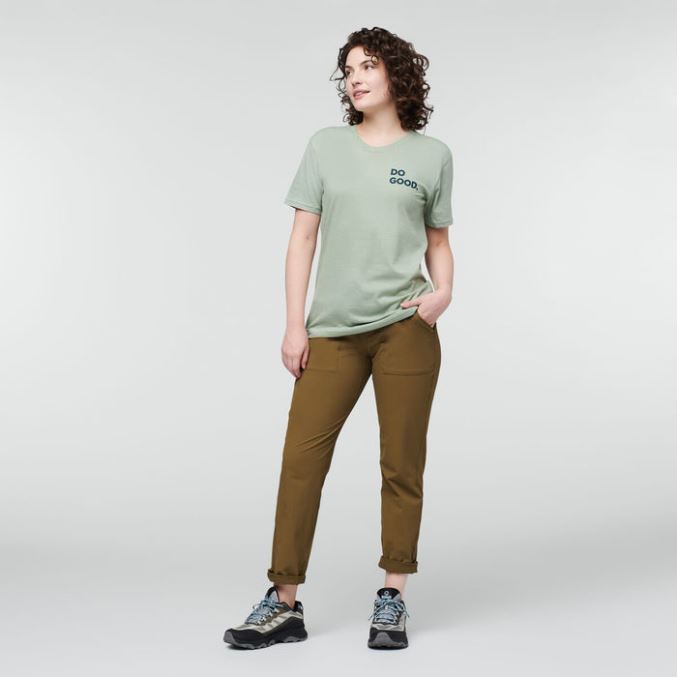 Villin Lännen Orgaaninen T-paita Naisten Hopealehtinen Cotopaxi -kokoelmat