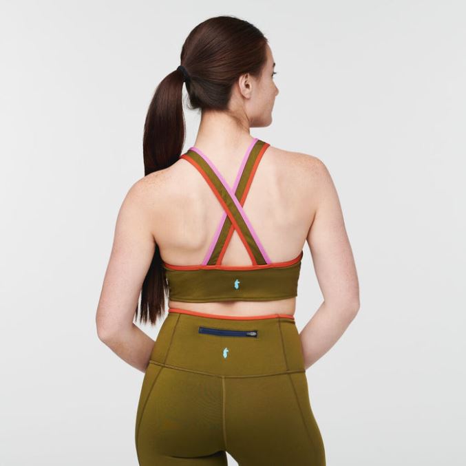 Mari Crop Top Naisten Cotopaxi Merkki Tammi