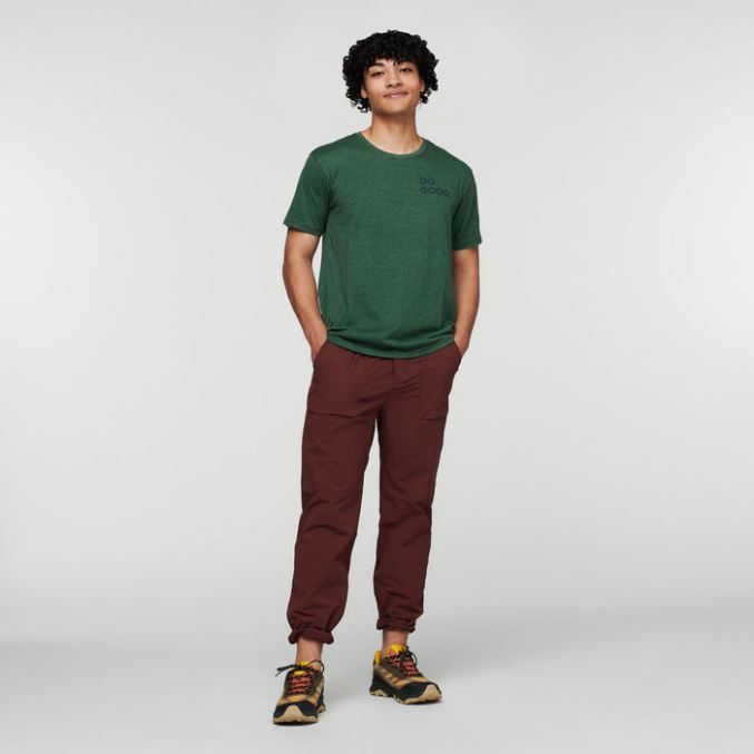 Paras Cotopaxi Villin Lännen Orgaaninen T-paita Miesten Metsä