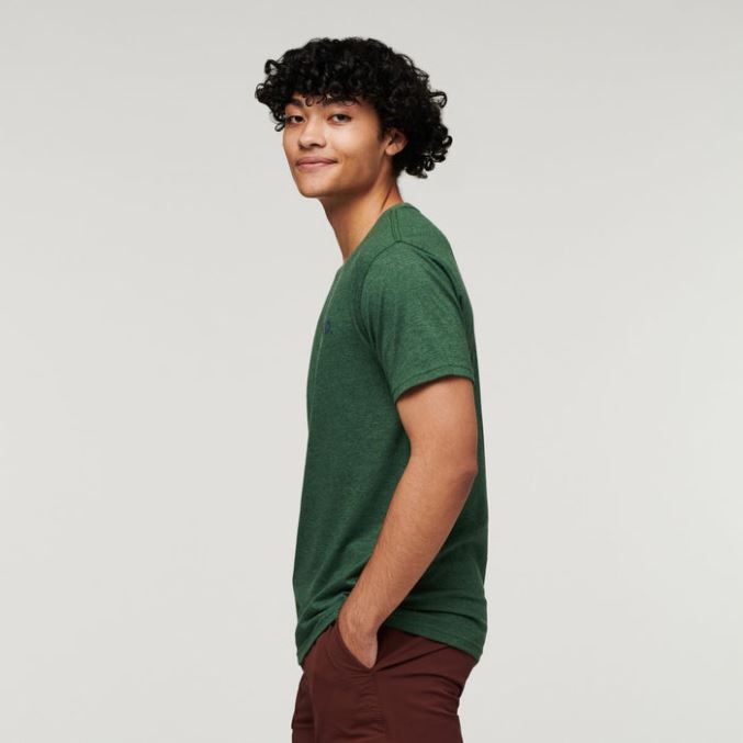 Paras Cotopaxi Villin Lännen Orgaaninen T-paita Miesten Metsä