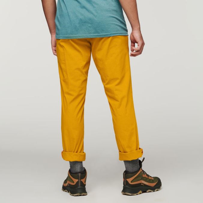 Amber Cotopaxi -kokoelmat Salto Ripstop Housut Miehille