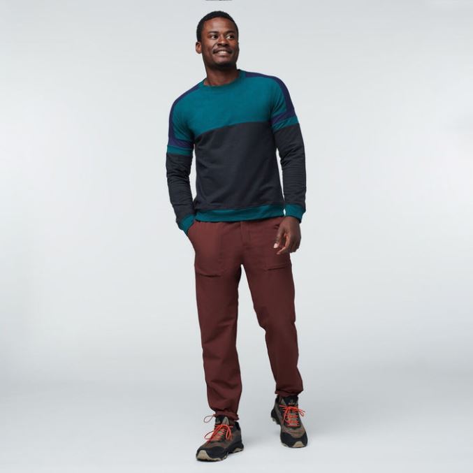 Miesten Cotopaxi Bandera Collegepaita Syvänmerenmusta