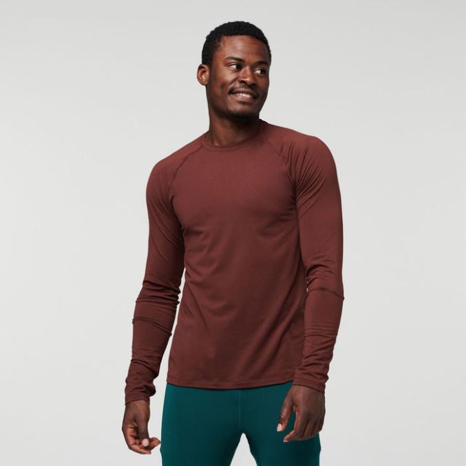 Kastanja Cotopaxi Seed Baselayer Top Miesten Alkuperäinen